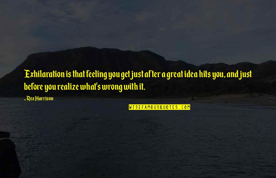 Golf And Drinking Quotes By Rex Harrison: Exhilaration is that feeling you get just after Golf And Drinking Quotes By Rex Harrison: Exhilaration is that feeling you get just after