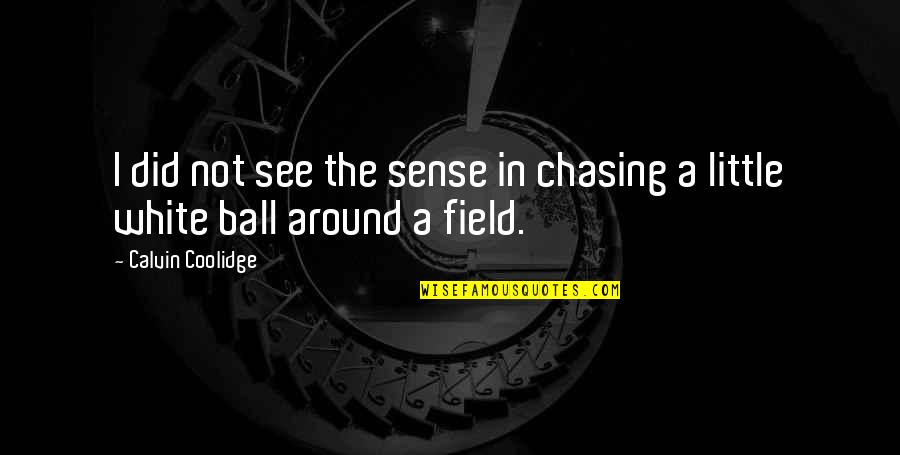 Golf Ball Quotes By Calvin Coolidge: I did not see the sense in chasing