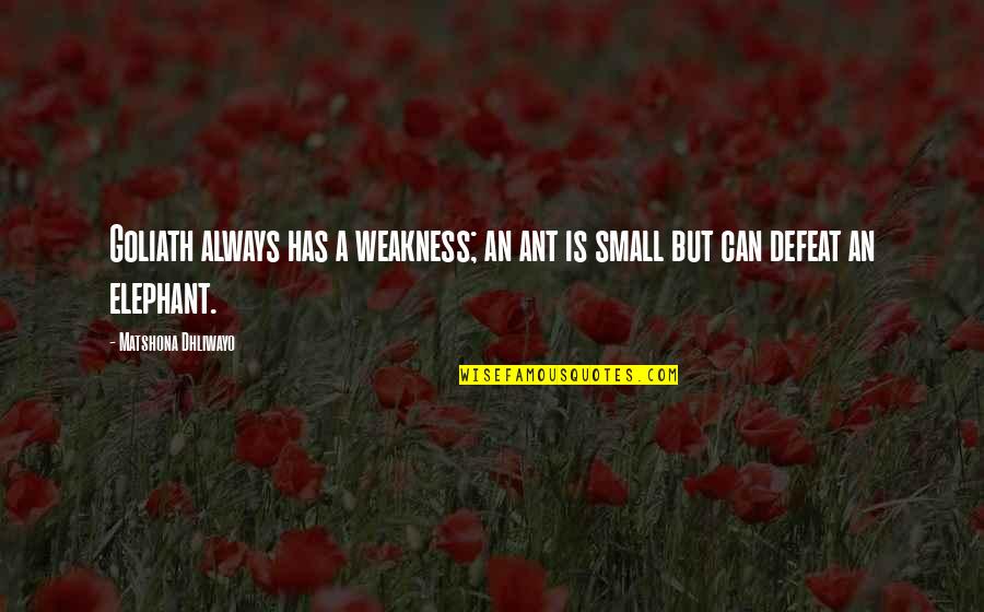 Goliath Quotes By Matshona Dhliwayo: Goliath always has a weakness; an ant is Goliath Quotes By Matshona Dhliwayo: Goliath always has a weakness; an ant is