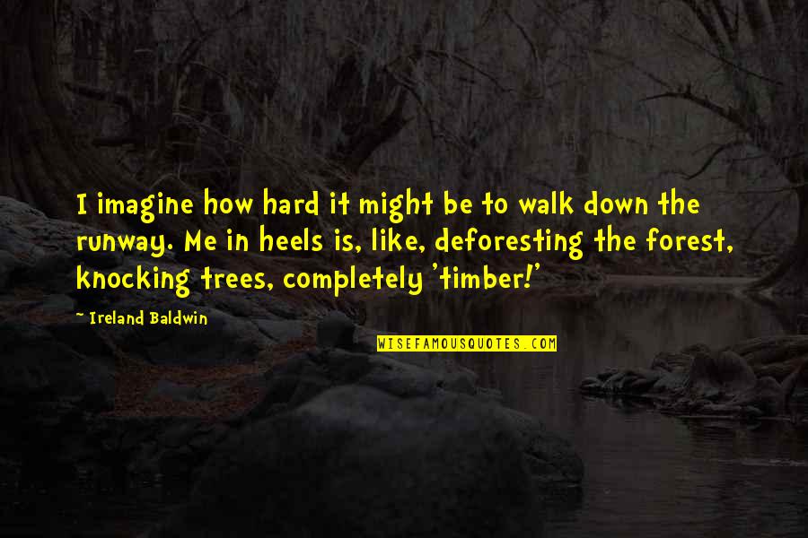 Golikova Quotes By Ireland Baldwin: I imagine how hard it might be to Golikova Quotes By Ireland Baldwin: I imagine how hard it might be to