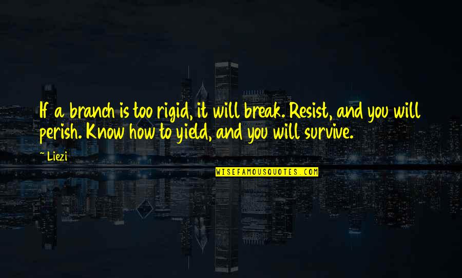 Goling Quotes By Liezi: If a branch is too rigid, it will Goling Quotes By Liezi: If a branch is too rigid, it will