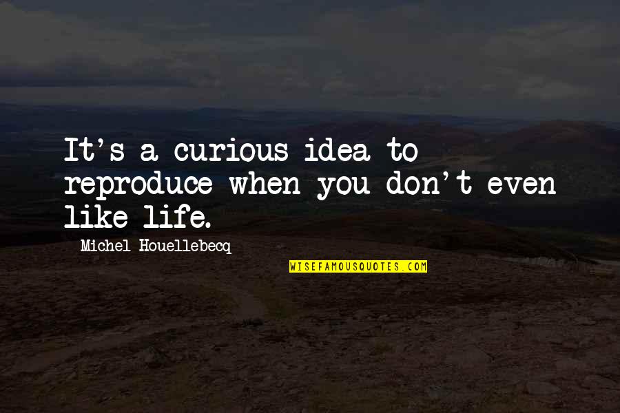 Golurile Lui Quotes By Michel Houellebecq: It's a curious idea to reproduce when you Golurile Lui Quotes By Michel Houellebecq: It's a curious idea to reproduce when you