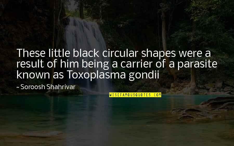 Gondii Parasite Quotes By Soroosh Shahrivar: These little black circular shapes were a result
