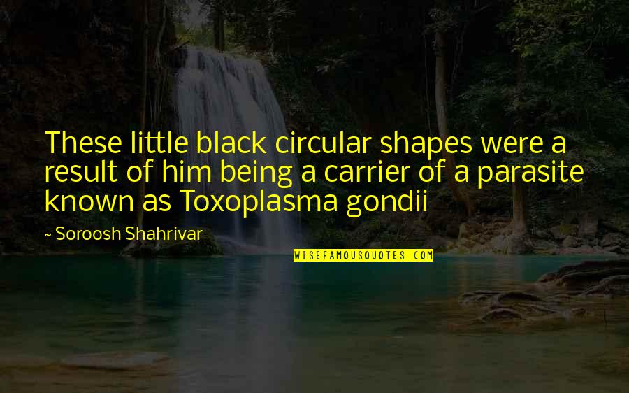 Gondii Quotes By Soroosh Shahrivar: These little black circular shapes were a result