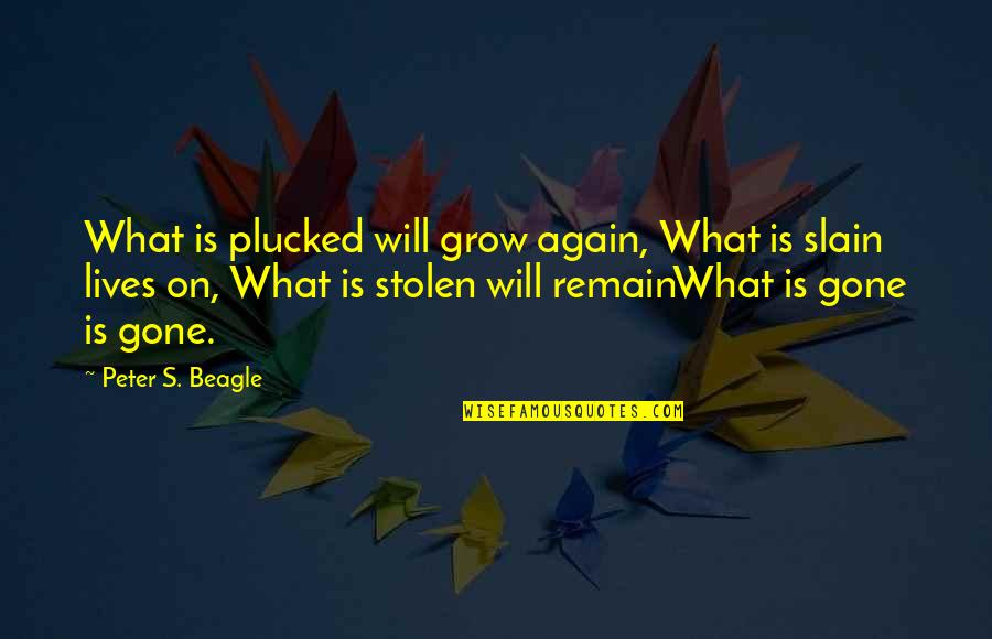 Gone Again Quotes By Peter S. Beagle: What is plucked will grow again, What is