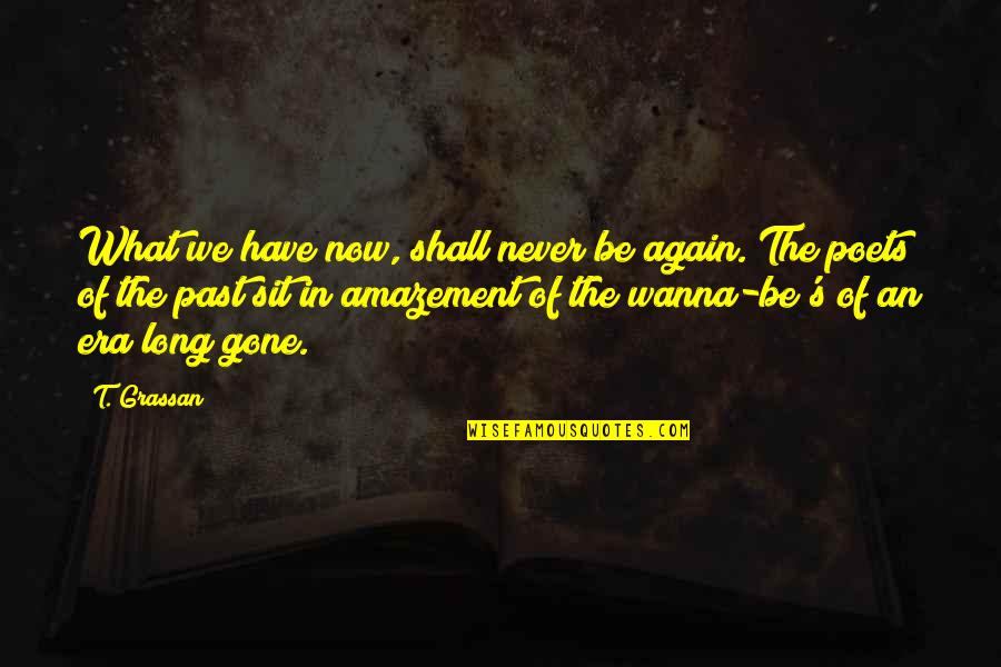 Gone Again Quotes By T. Grassan: What we have now, shall never be again.