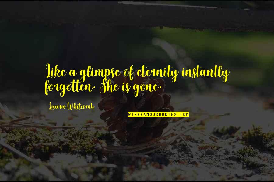 Gone And Forgotten Quotes By Laura Whitcomb: Like a glimpse of eternity instantly forgotten. She