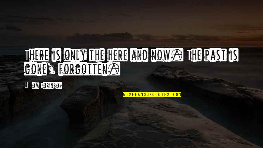 Gone And Forgotten Quotes By Tom Robinson: There is only the here and now. The