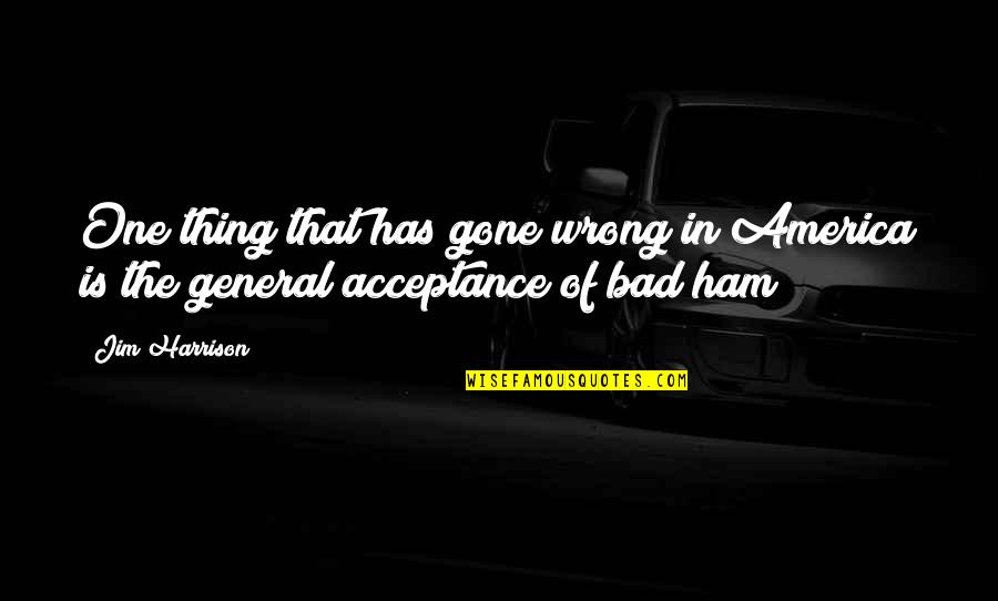 Gone Bad Quotes By Jim Harrison: One thing that has gone wrong in America