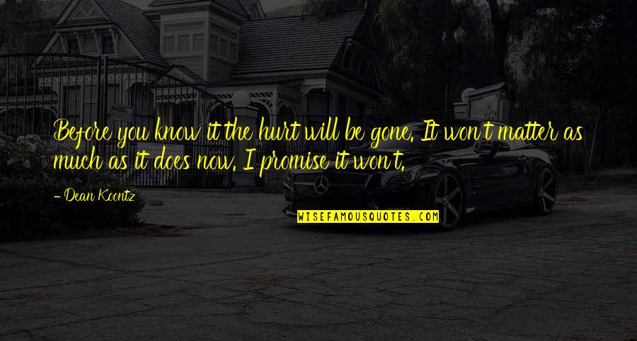 Gone Before You Know It Quotes By Dean Koontz: Before you know it the hurt will be