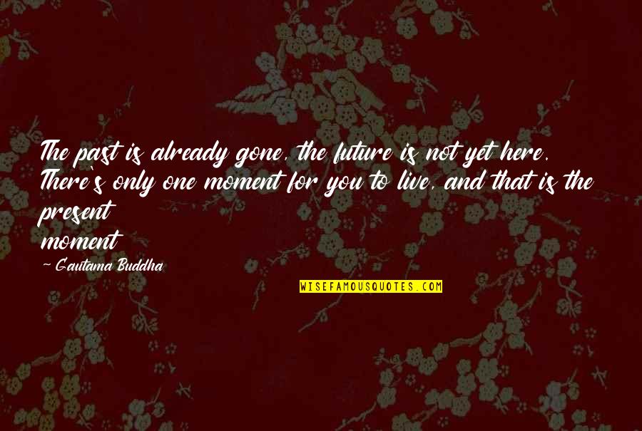 Gone Is Gone Quotes By Gautama Buddha: The past is already gone, the future is Gone Is Gone Quotes By Gautama Buddha: The past is already gone, the future is
