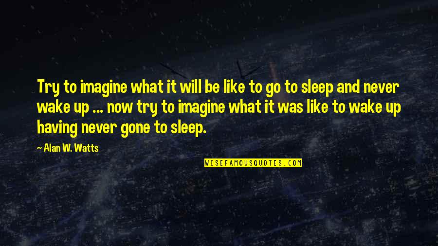 Gone Like Quotes By Alan W. Watts: Try to imagine what it will be like