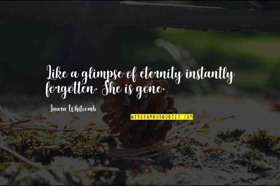Gone Not Forgotten Quotes By Laura Whitcomb: Like a glimpse of eternity instantly forgotten. She