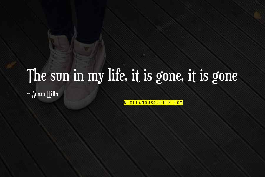 Gone Quotes By Adam Hills: The sun in my life, it is gone,