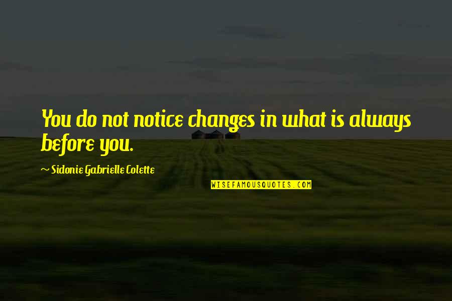 Gone To Soon Quote Quotes By Sidonie Gabrielle Colette: You do not notice changes in what is Gone To Soon Quote Quotes By Sidonie Gabrielle Colette: You do not notice changes in what is