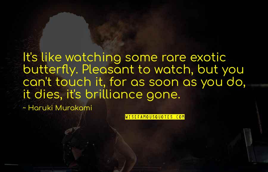 Gone To Soon Quotes By Haruki Murakami: It's like watching some rare exotic butterfly. Pleasant