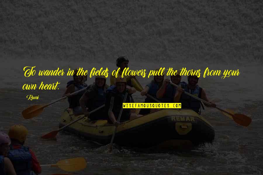 Gonedancing Quotes By Rumi: To wander in the fields of flowers pull