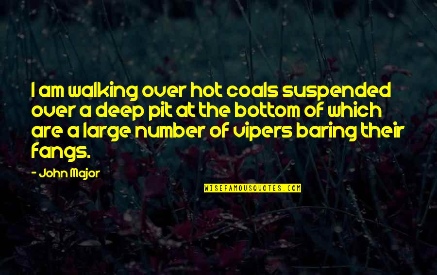 Gonk Droid Quotes By John Major: I am walking over hot coals suspended over