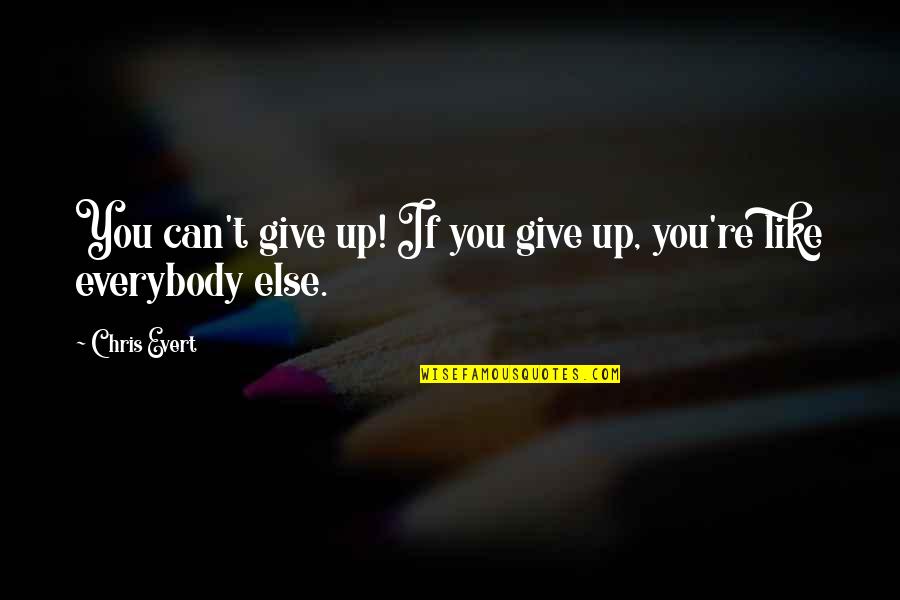 Gonny Gaakeers Birthplace Quotes By Chris Evert: You can't give up! If you give up,