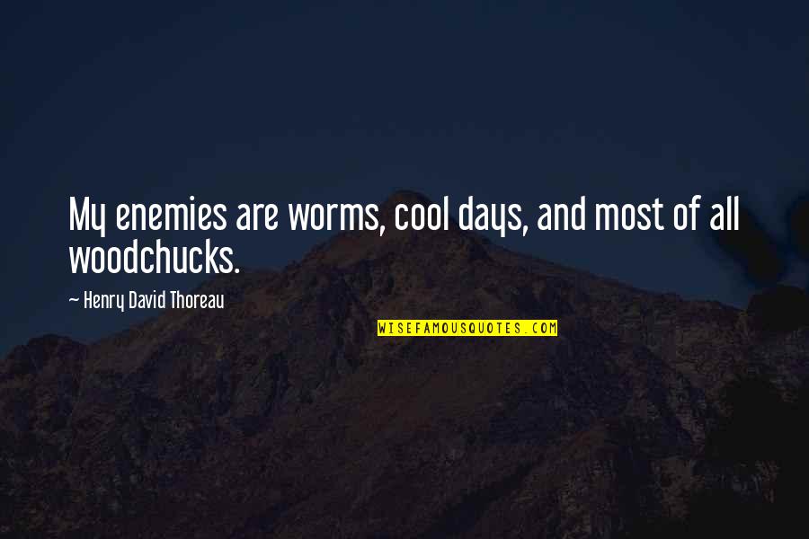 Good Acquisition Quotes By Henry David Thoreau: My enemies are worms, cool days, and most