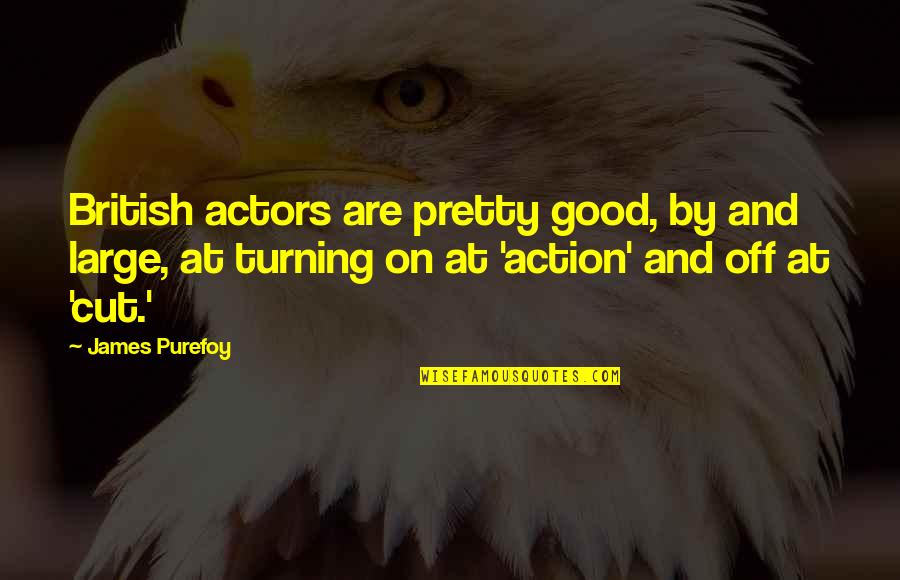 Good Actors Quotes By James Purefoy: British actors are pretty good, by and large,