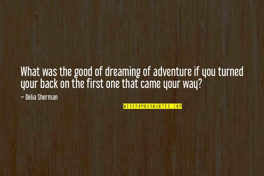 Good Adventure Quotes By Delia Sherman: What was the good of dreaming of adventure Good Adventure Quotes By Delia Sherman: What was the good of dreaming of adventure