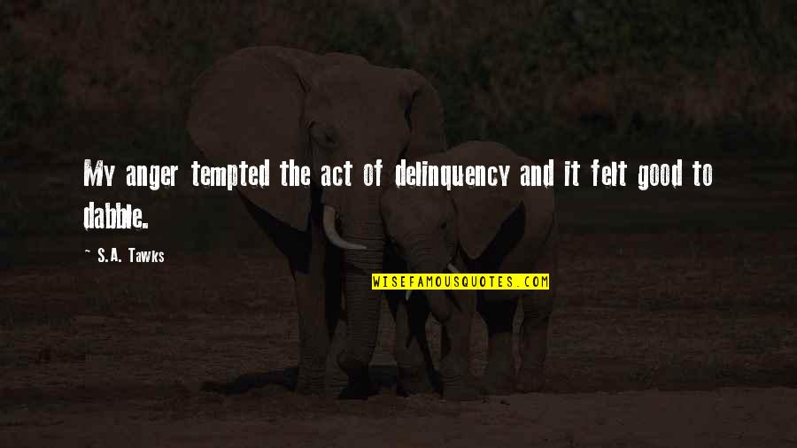 Good Adventure Quotes By S.A. Tawks: My anger tempted the act of delinquency and