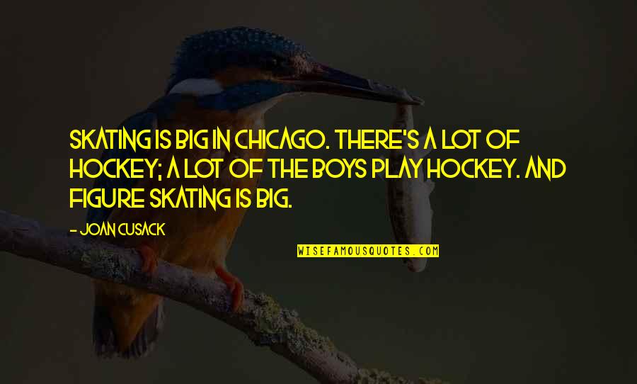 Good Aesthetics Quotes By Joan Cusack: Skating is big in Chicago. There's a lot Good Aesthetics Quotes By Joan Cusack: Skating is big in Chicago. There's a lot