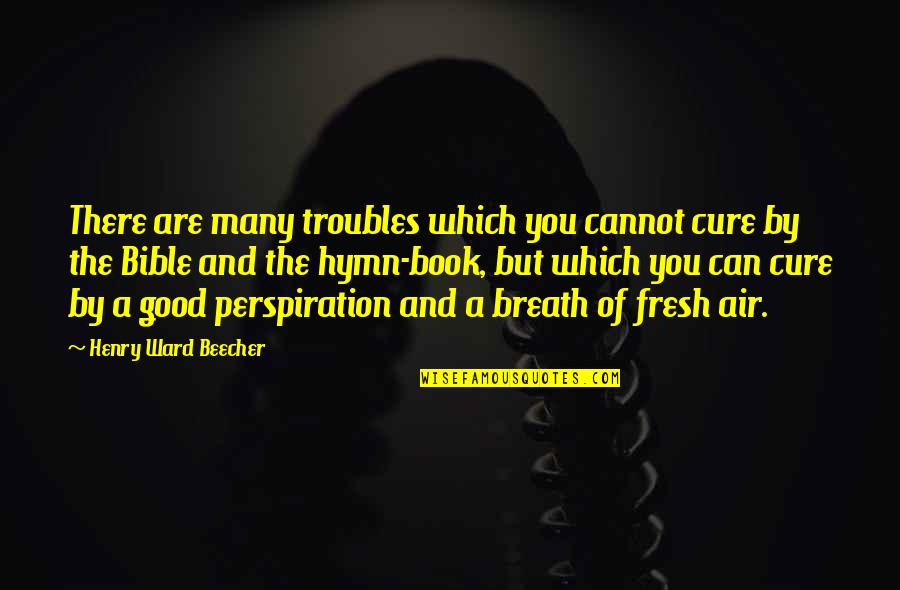 Good Air Quotes By Henry Ward Beecher: There are many troubles which you cannot cure