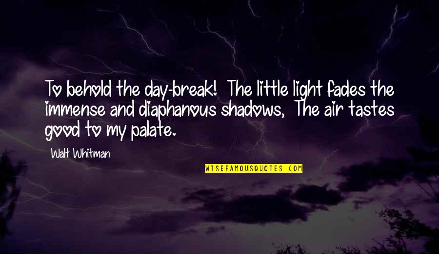 Good Air Quotes By Walt Whitman: To behold the day-break! The little light fades