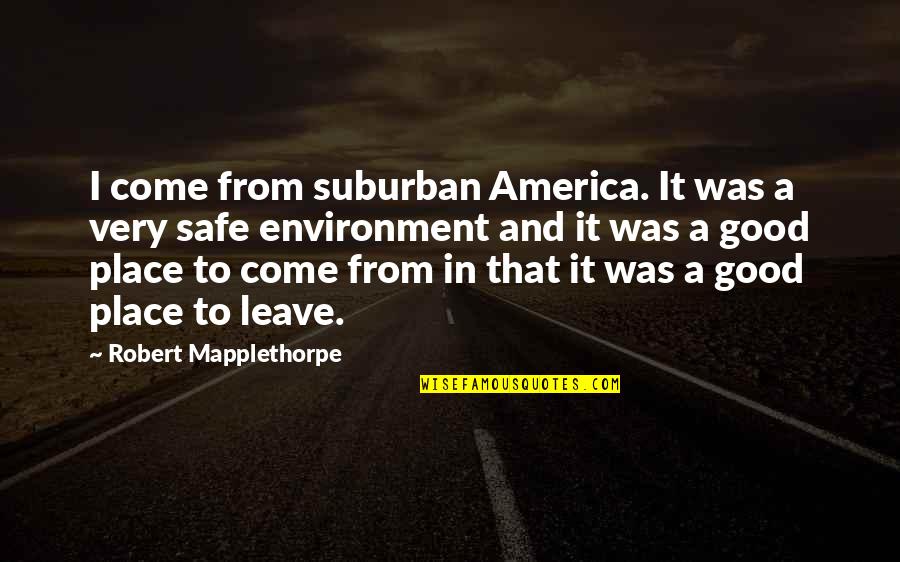 Good America Quotes By Robert Mapplethorpe: I come from suburban America. It was a