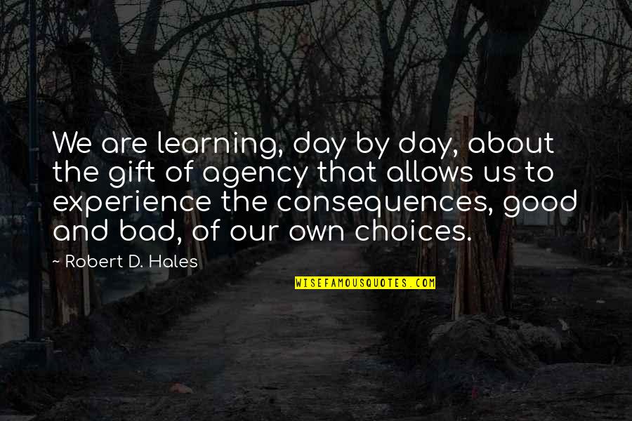 Good And Bad Choices Quotes By Robert D. Hales: We are learning, day by day, about the