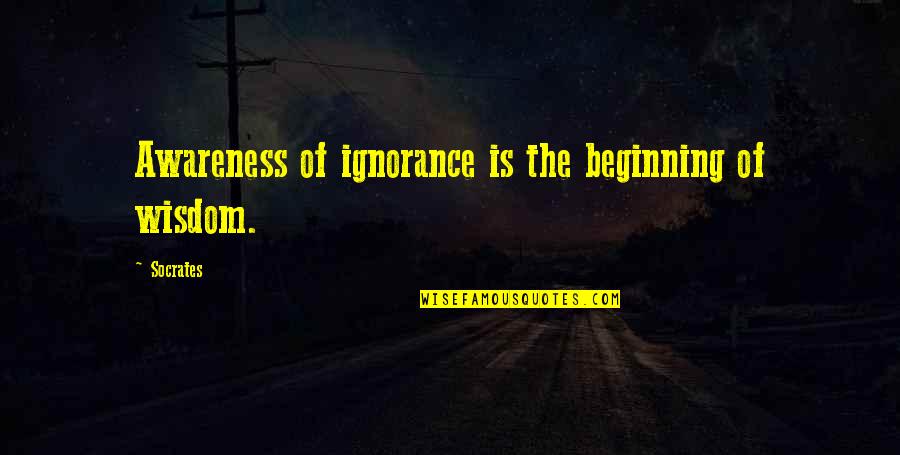 Good And Bad Friends Quotes By Socrates: Awareness of ignorance is the beginning of wisdom.