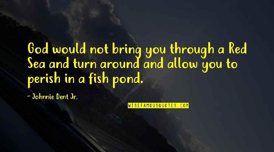Good And Bad Qualities Quotes By Johnnie Dent Jr.: God would not bring you through a Red Good And Bad Qualities Quotes By Johnnie Dent Jr.: God would not bring you through a Red