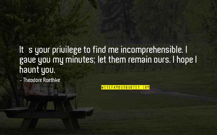 Good And Bad Times In Life Quotes By Theodore Roethke: It's your privilege to find me incomprehensible. I