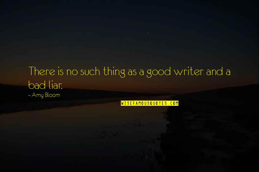 Good And Bad Writing Quotes By Amy Bloom: There is no such thing as a good