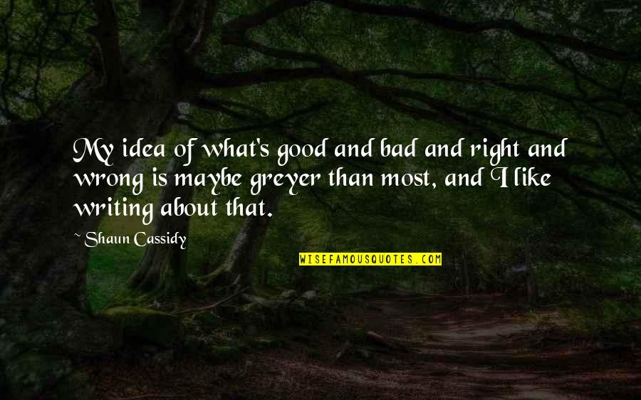 Good And Bad Writing Quotes By Shaun Cassidy: My idea of what's good and bad and
