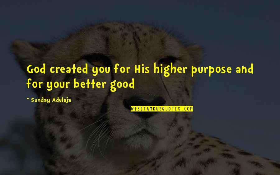 Good And Better Quotes By Sunday Adelaja: God created you for His higher purpose and