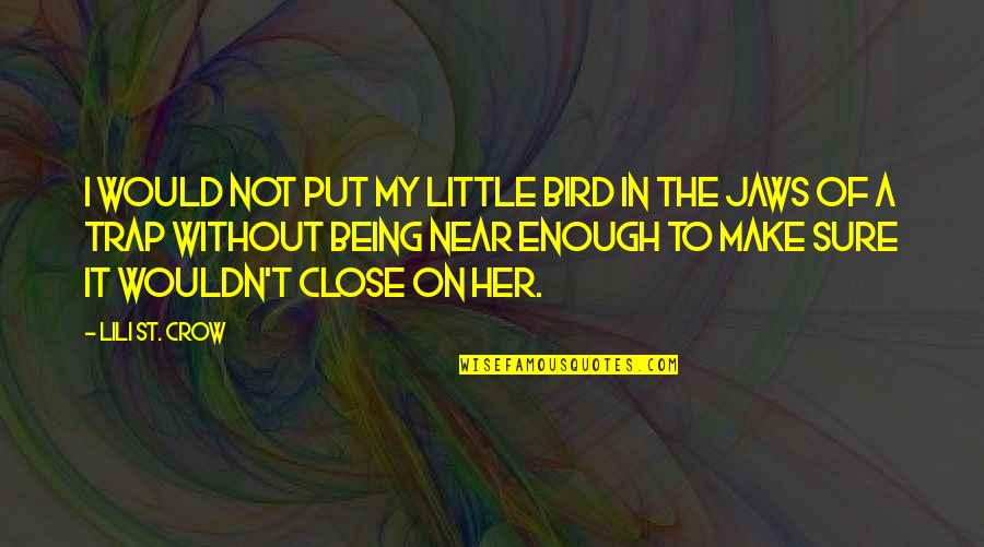 Good And Evil In Harry Potter Quotes By Lili St. Crow: I would not put my little bird in