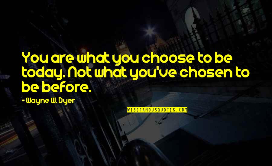 Good And Evil In Harry Potter Quotes By Wayne W. Dyer: You are what you choose to be today.