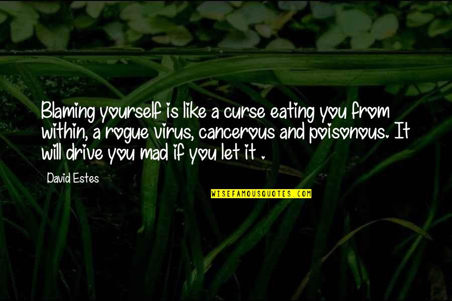 Good And Mad Quotes By David Estes: Blaming yourself is like a curse eating you