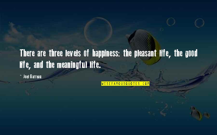 Good And Meaningful Quotes By Joel Garreau: There are three levels of happiness: the pleasant