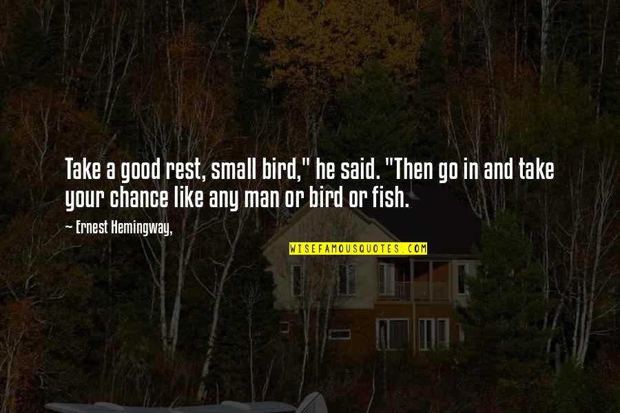 Good And Small Quotes By Ernest Hemingway,: Take a good rest, small bird," he said.