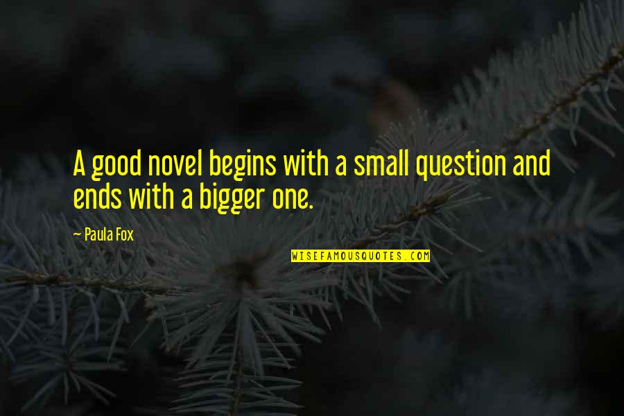 Good And Small Quotes By Paula Fox: A good novel begins with a small question
