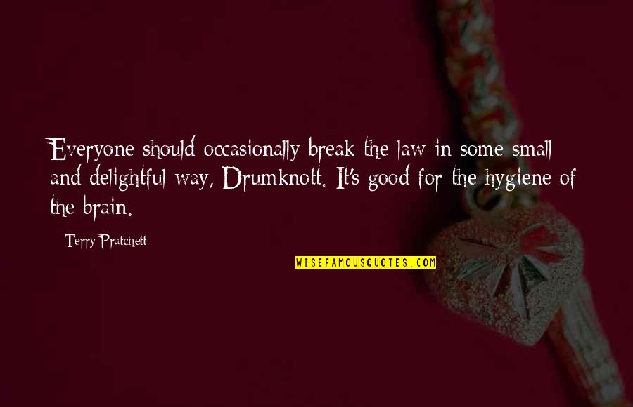 Good And Small Quotes By Terry Pratchett: Everyone should occasionally break the law in some