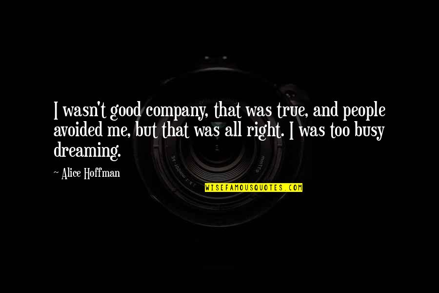 Good And True Quotes By Alice Hoffman: I wasn't good company, that was true, and