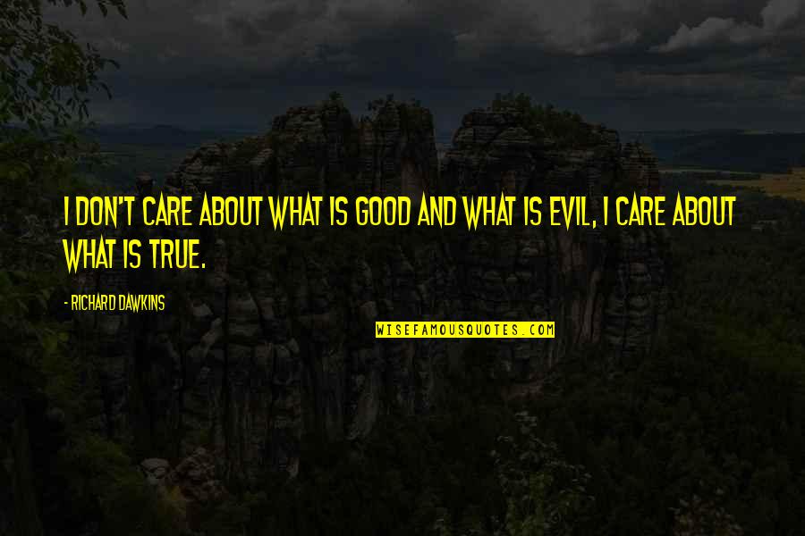 Good And True Quotes By Richard Dawkins: I don't care about what is good and