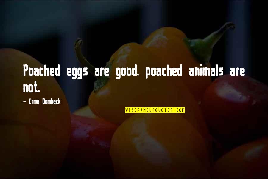 Good Animal Quotes By Erma Bombeck: Poached eggs are good, poached animals are not. Good Animal Quotes By Erma Bombeck: Poached eggs are good, poached animals are not.