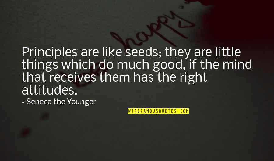 Good Attitude Quotes By Seneca The Younger: Principles are like seeds; they are little things