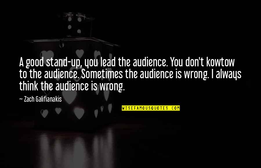 Good Audience Quotes By Zach Galifianakis: A good stand-up, you lead the audience. You